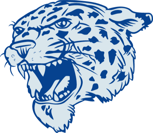 Lincoln Leopards